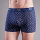 Autre photo Shorty Homme Fantaisie